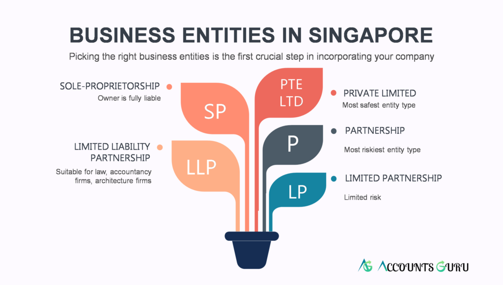 Business Entities Singapore